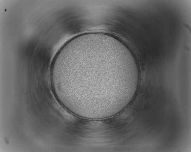 X0000103401470200809261608