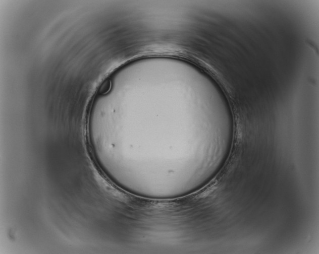 X0000103401471200809261608