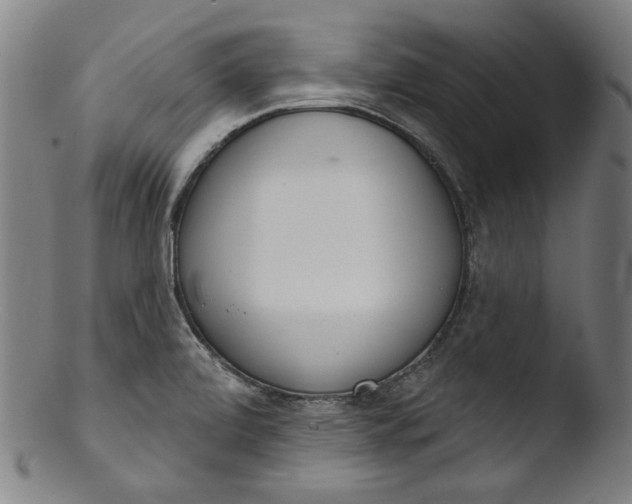 X0000103401472200809261608