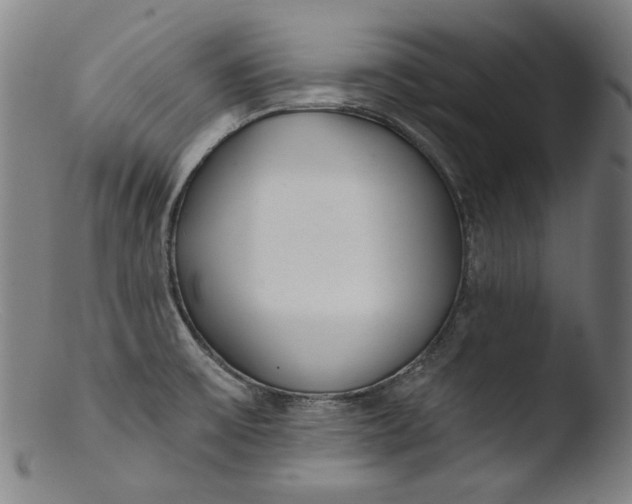 X0000103401475200809261608