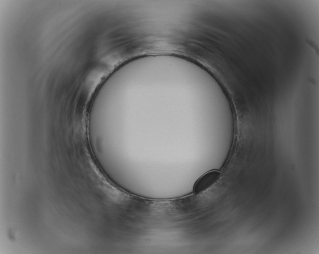 X0000103401477200809261608