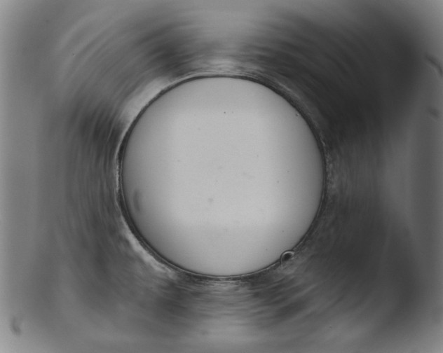 X0000103401479200809261608