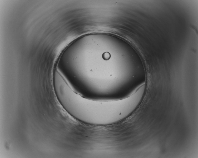 X0000103401480200809261608