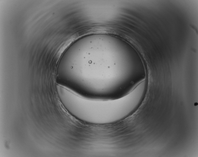 X0000103401481200809261608