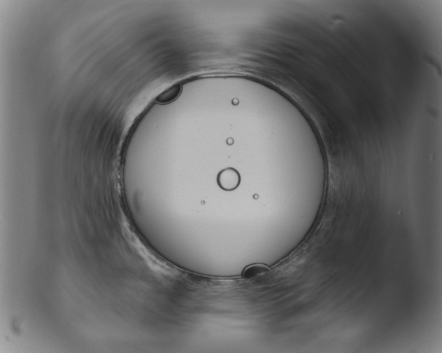 X0000103401485200809261608