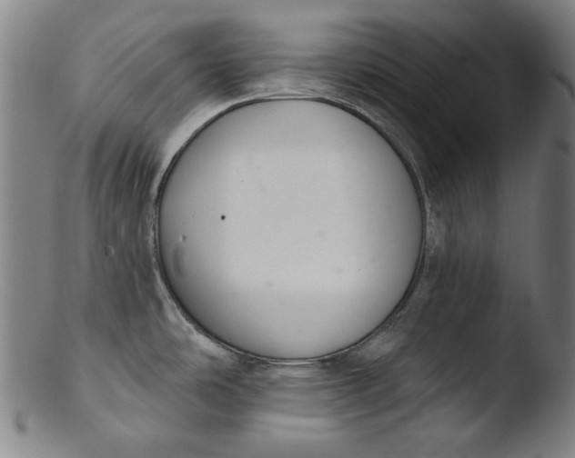 X0000103401486200809261608