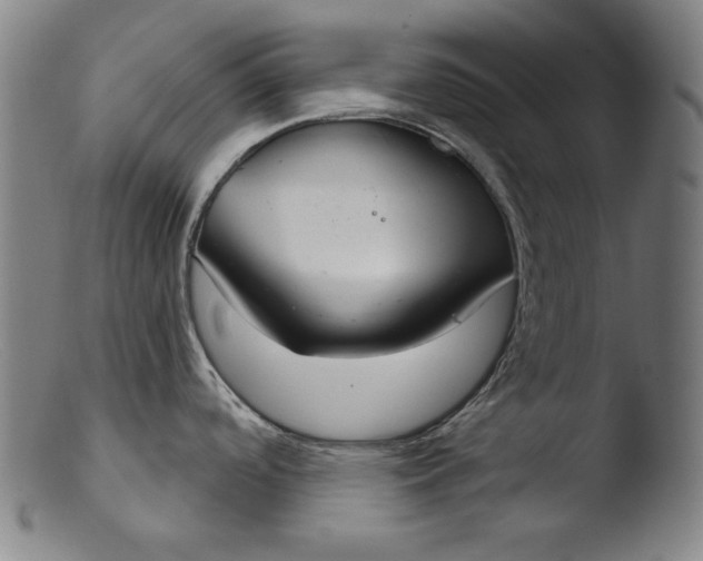 X0000103401488200809261608