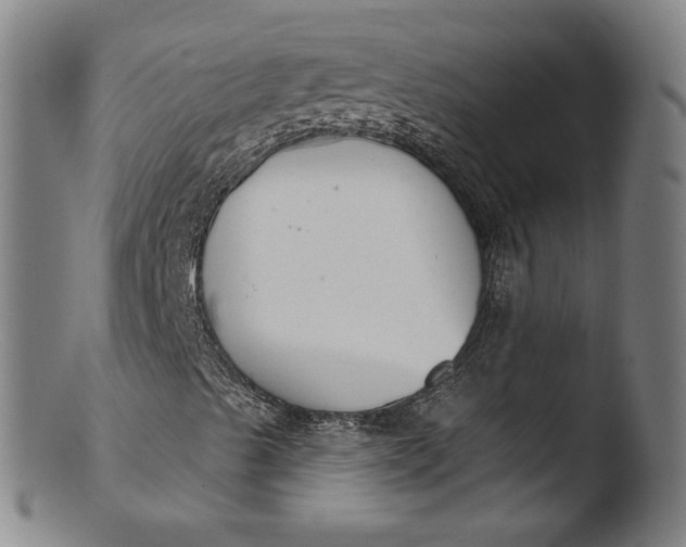 X0000103401489200809261607