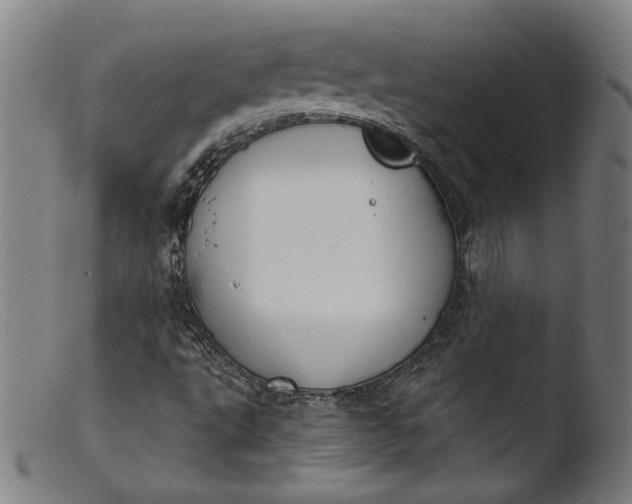 X0000103401495200809261607