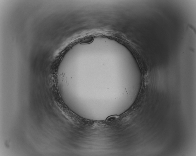 X0000103401496200809261607