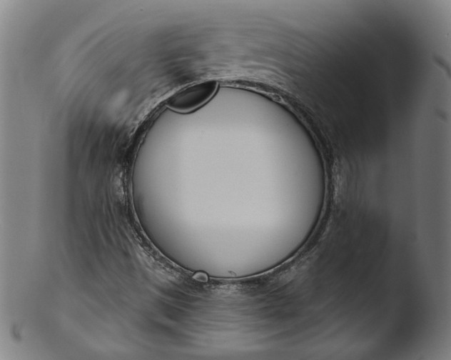 X0000103401497200809261607