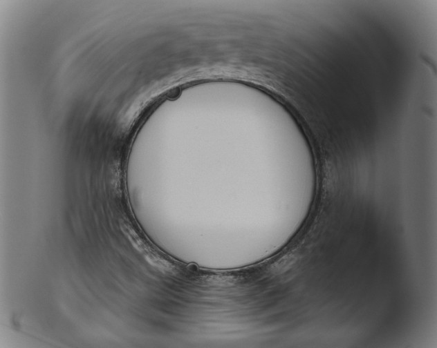 X0000103401499200809261607