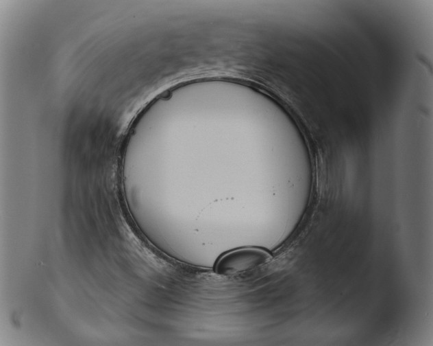 X0000103401500200809261607