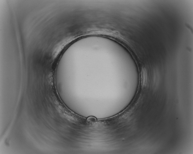 X0000103401501200809261607