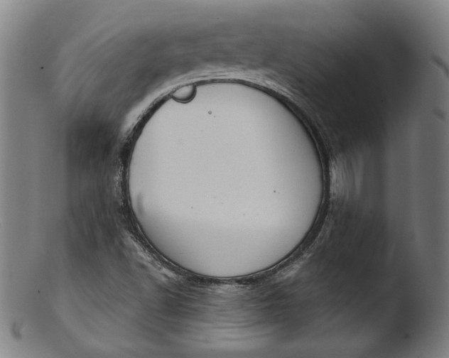 X0000103401502200809261607