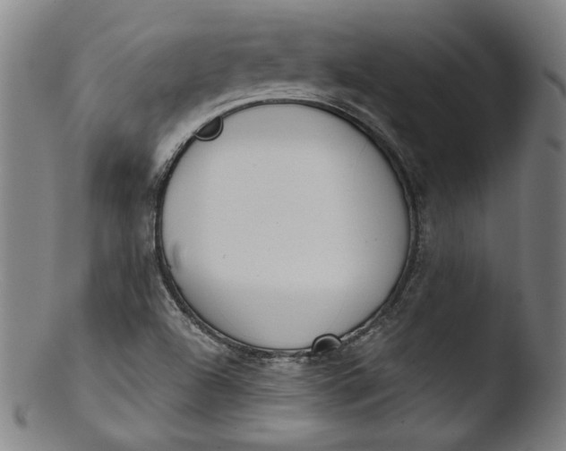 X0000103401504200809261607