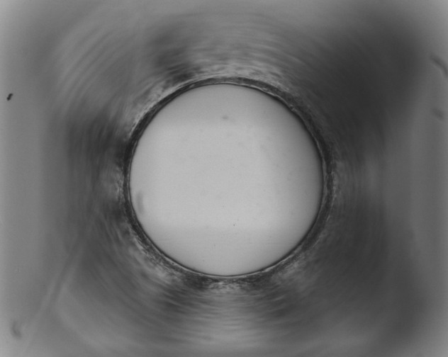 X0000103401505200809261607