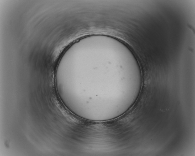 X0000103401507200809261607