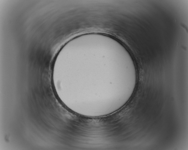 X0000103401508200809261607