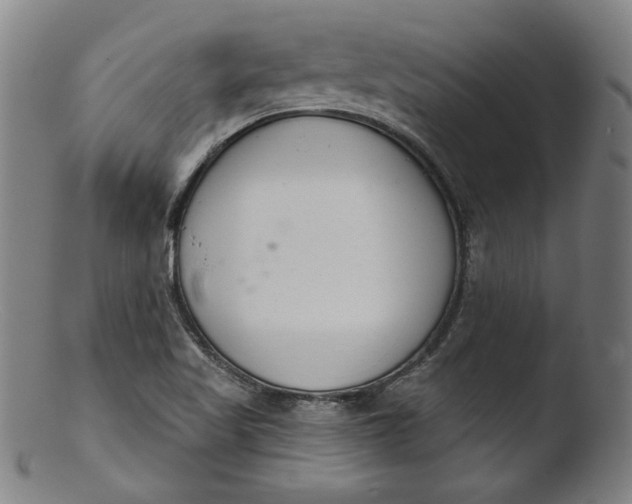 X0000103401509200809261607