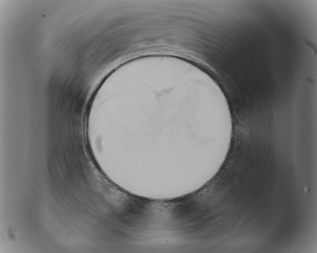 X0000103401514200809261607