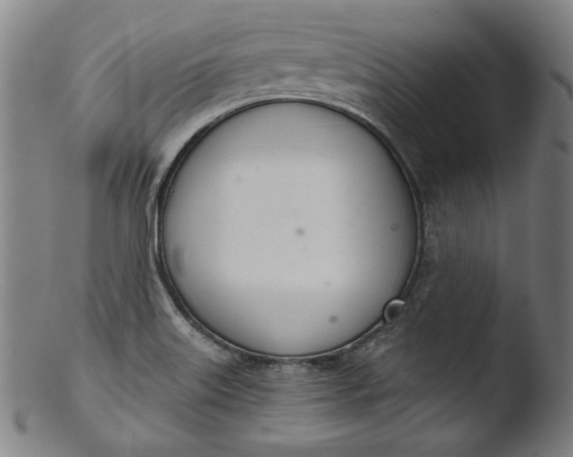 X0000103401515200809261607