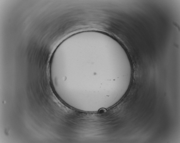 X0000103401516200809261607