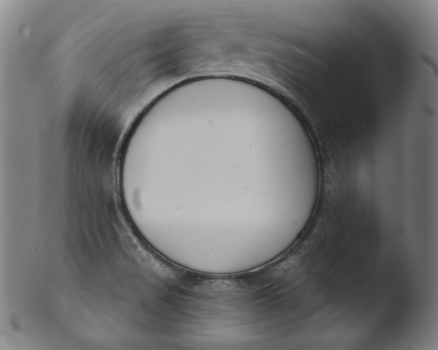 X0000103401517200809261607