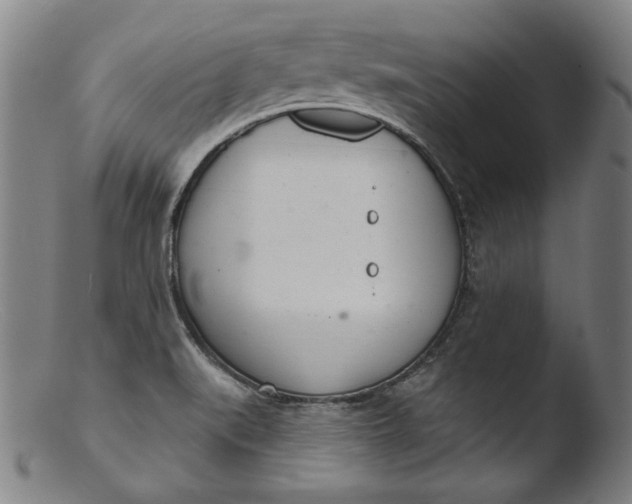 X0000103401519200809261607