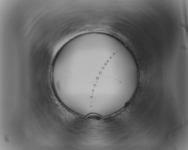 X0000103401520200809261607