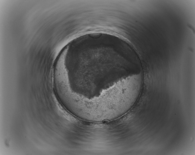 X0000103401522200809261607