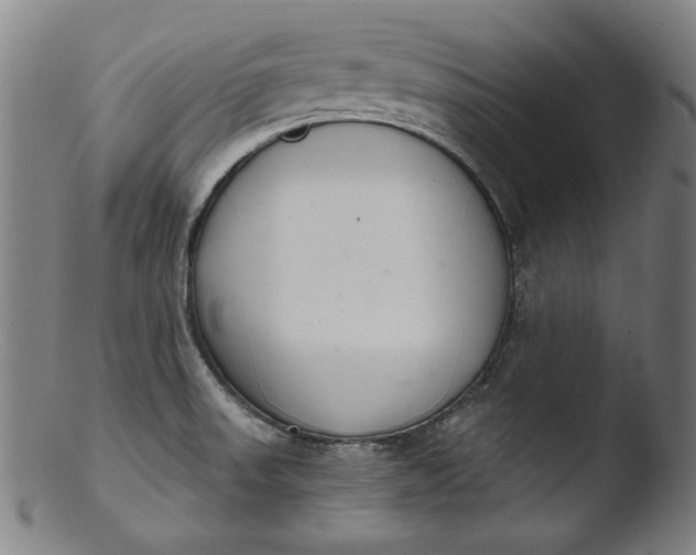 X0000103401523200809261607