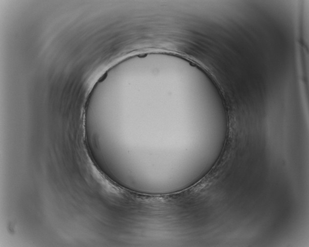 X0000103401524200809261607