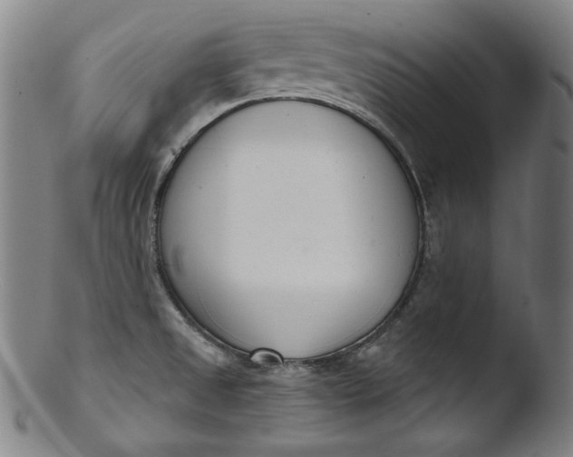 X0000103401525200809261607