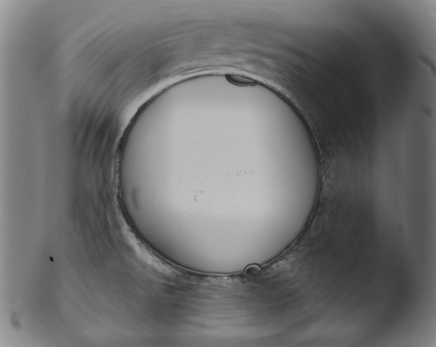 X0000103401526200809261607