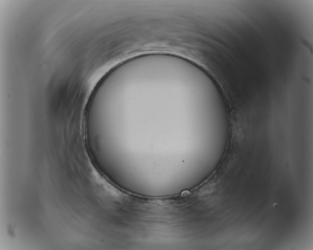 X0000103401527200809261607