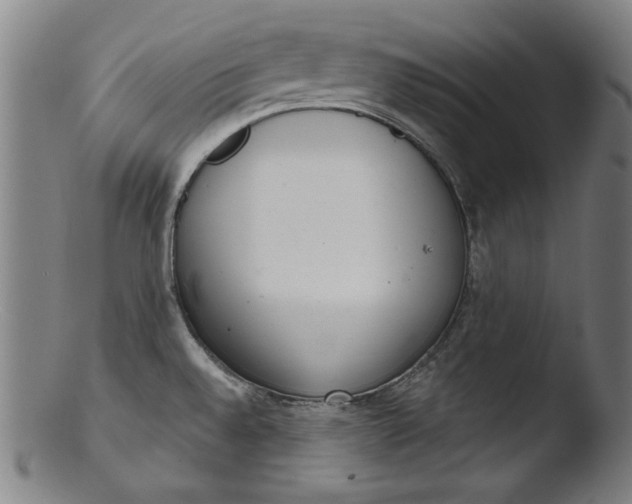 X0000103401528200809261607