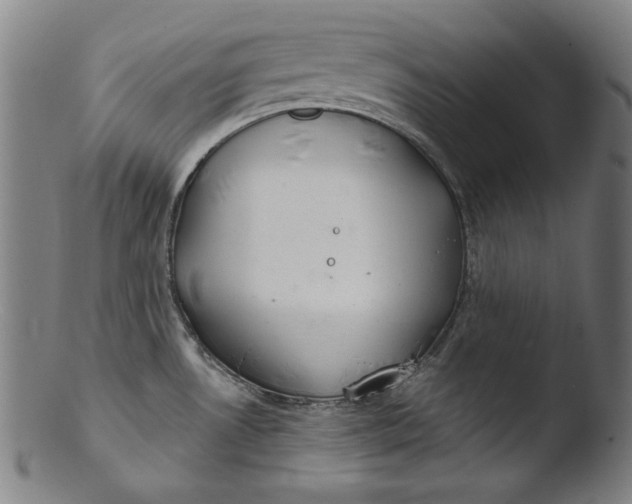 X0000103401530200809261608