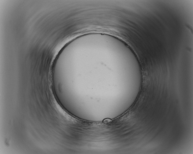 X0000103401531200809261608