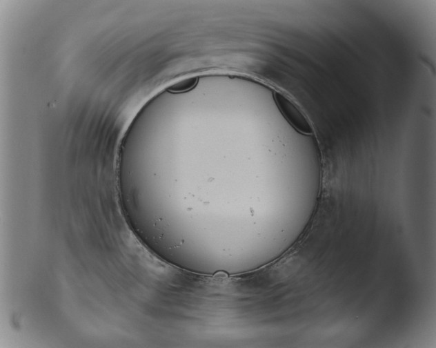 X0000103401532200809261608