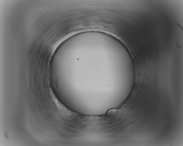 X0000103401534200809261608