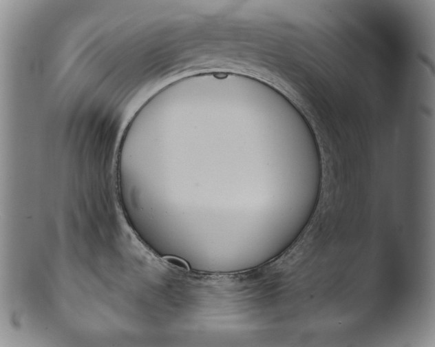 X0000103401536200809261608