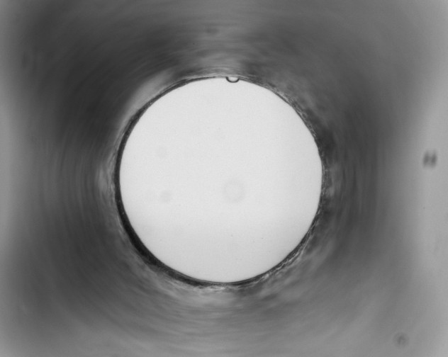 X0000103400004200810031234