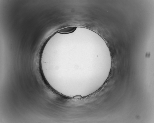 X0000103400005200810031234