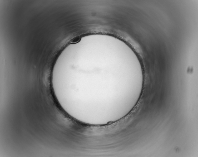 X0000103400009200810031234