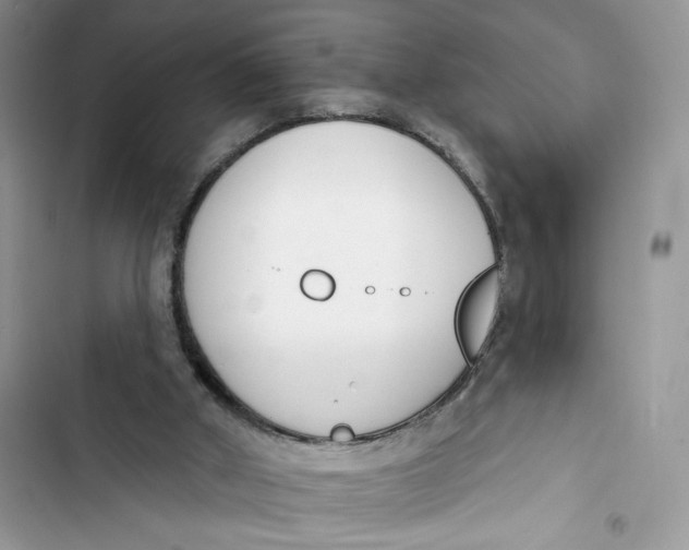 X0000103400010200810031234