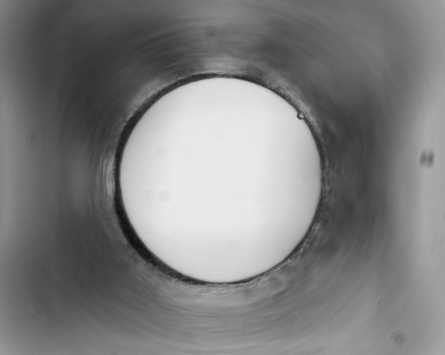 X0000103400011200810031234