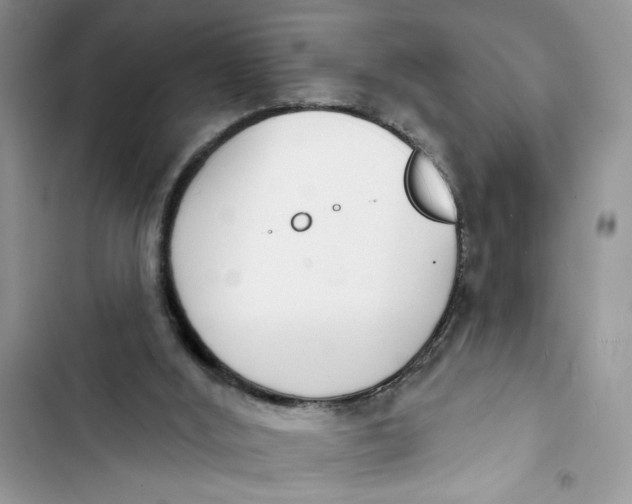 X0000103400012200810031234