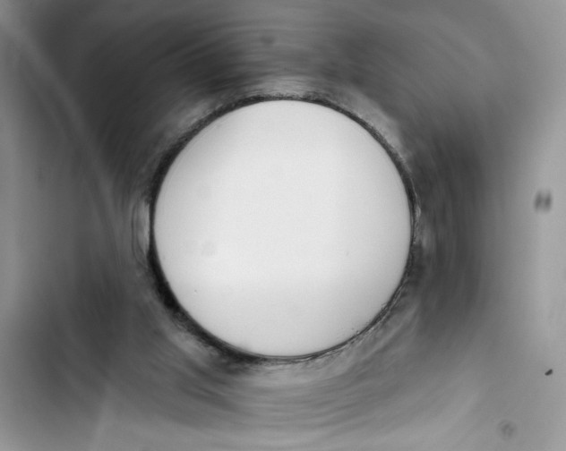 X0000103400013200810031234