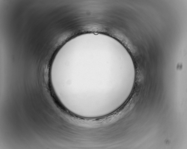 X0000103400014200810031234